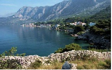 Drašnice